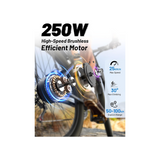 DUOTTS C29 Electric Bike, 29'' E-Mountain Bike with 48V 15Ah Removable Battery & 250W Powerful Motor, Professional 21-Speed with LCD Display, Electric Commuter Bicycle for Adults Men and Women