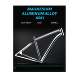 Electric Bike C29, 29'' E-Mountain Bike with 48V 15Ah Removable Battery & High-Performance Motor (Equivalent to 750W Peak Power), Professional 21-Speed with LCD Display, Electric Bicycle for Adults